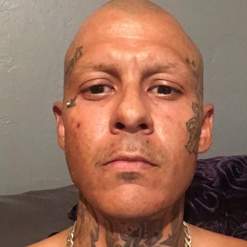 Meet your Posher, Snake